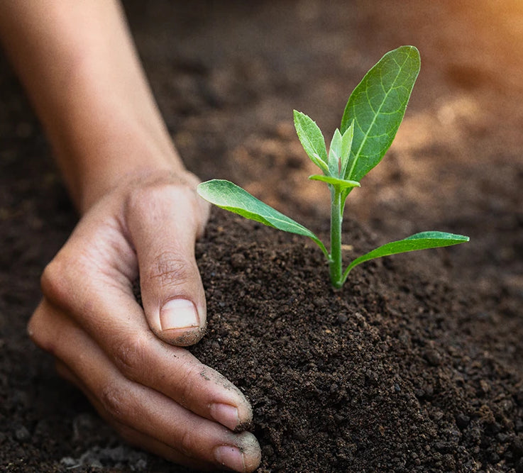 buy a phone plant a tree with green mobile