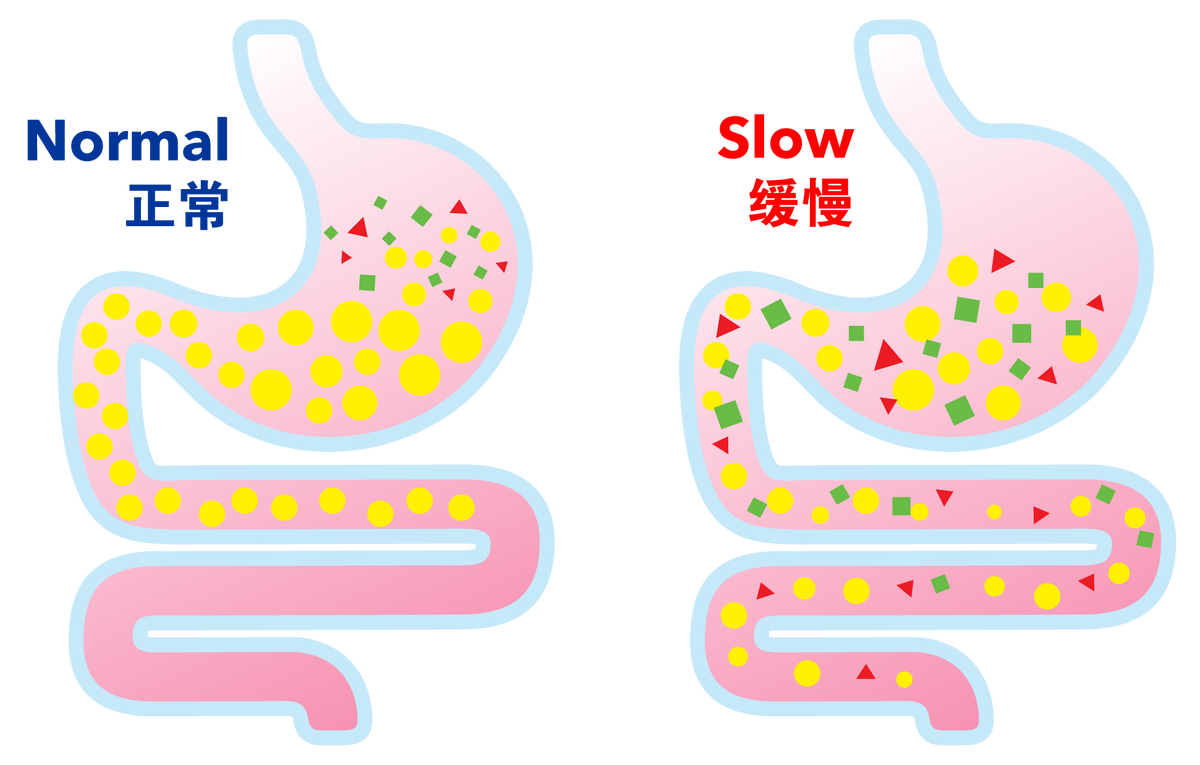 Rate of Digestion 1B-02.png__PID:3e2ecfcf-f4a2-4fb9-a82d-809e901e52f4