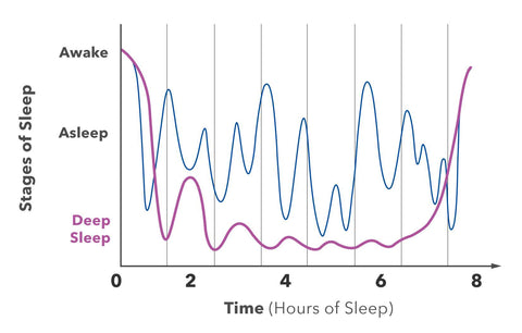 Stages of sleep