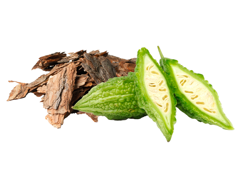 Bitter Melon Extract, Plant Sterol Esters and Terminalia Arjuna Bark Extract for heart health