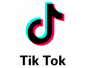 Tiktok Logo 2017