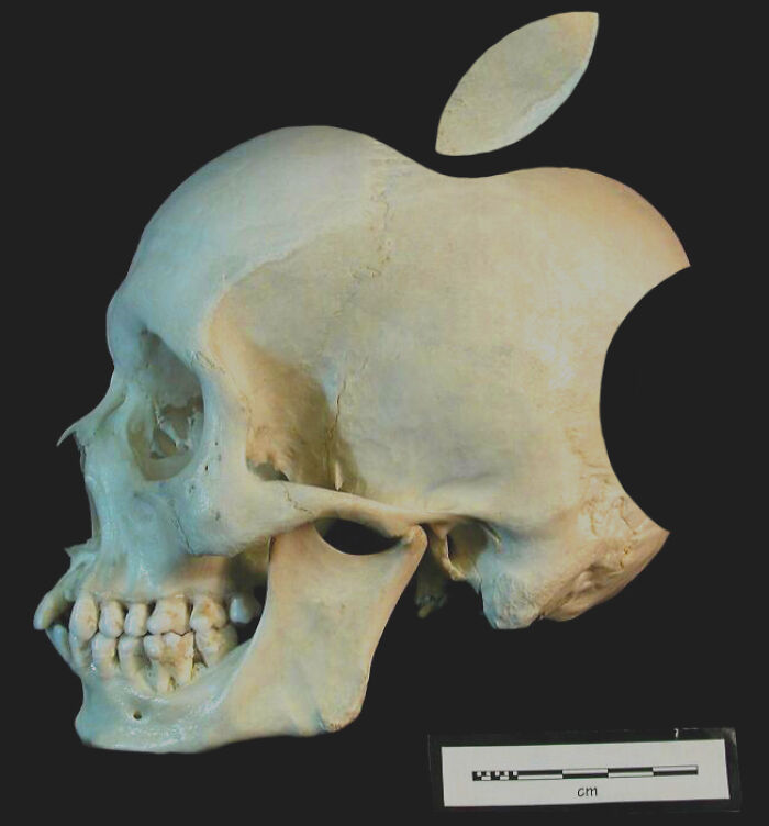 Apple logo incorporated into a picture of a skull