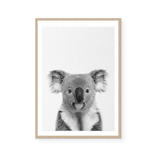 Baby Koala  Art Print – Life In Ink