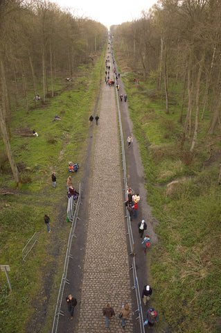 Arenberg Forest