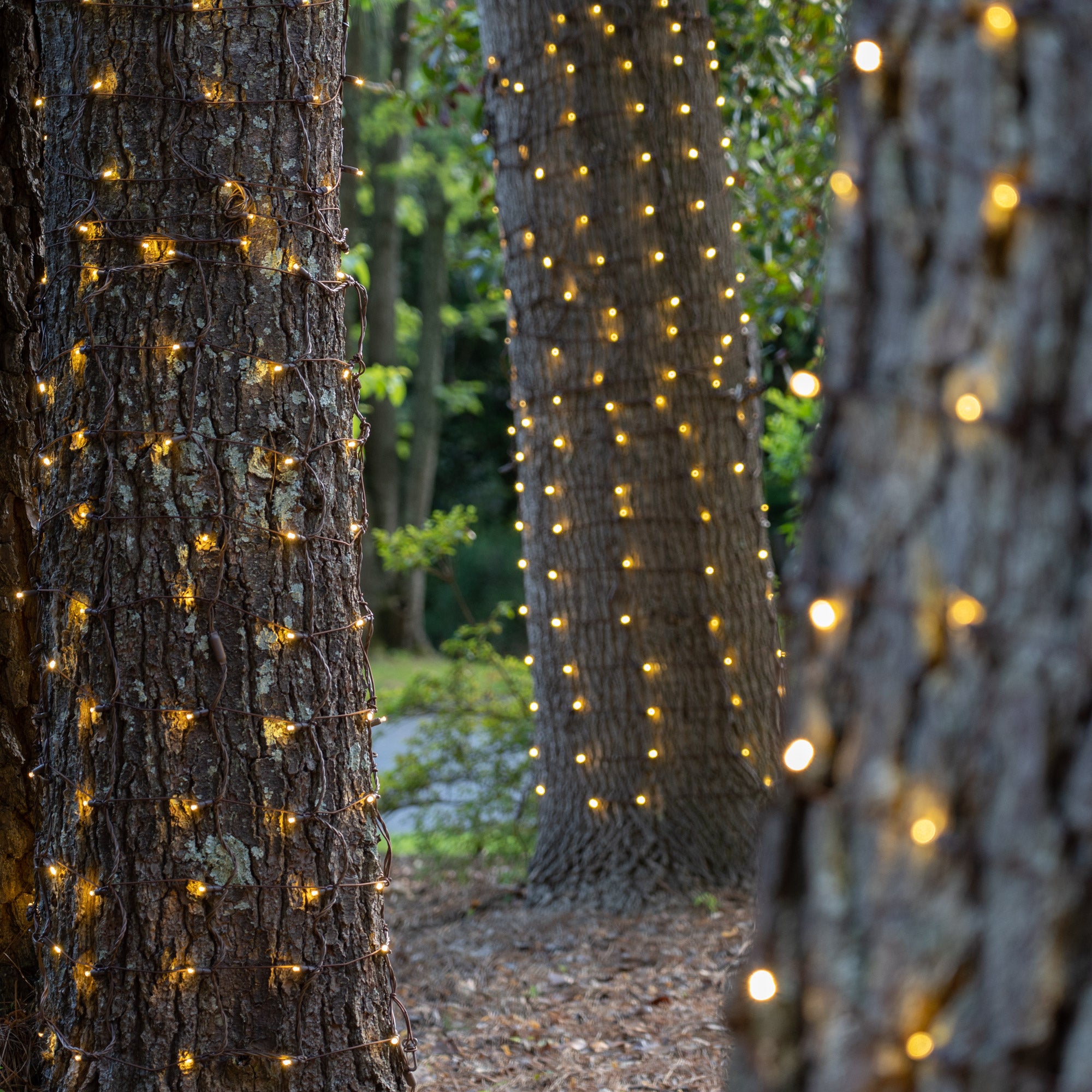 trunk wrap lights for trees