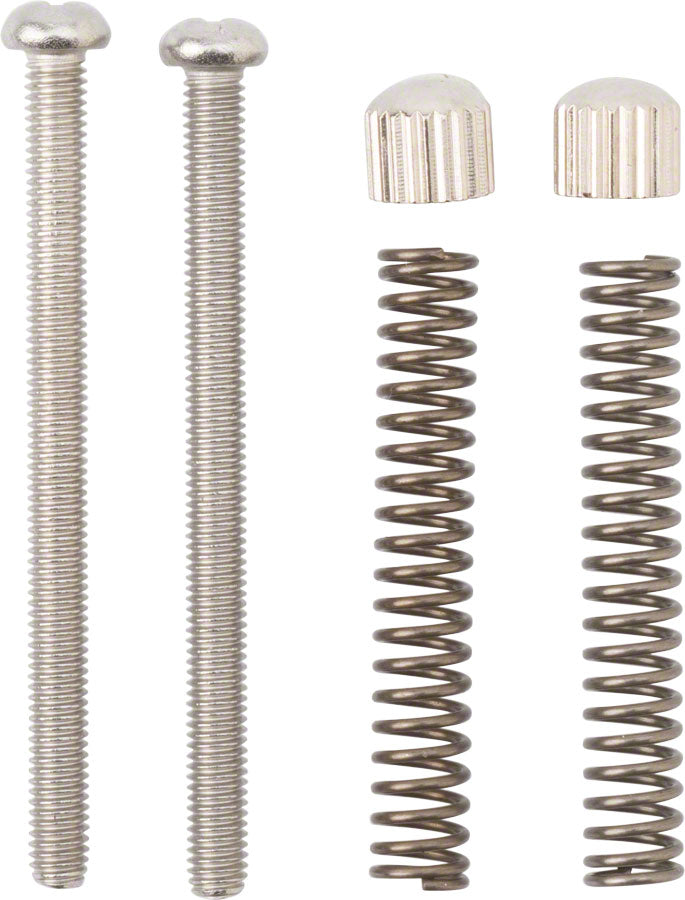 Surly Frame Replacement Dropout Screws Pair