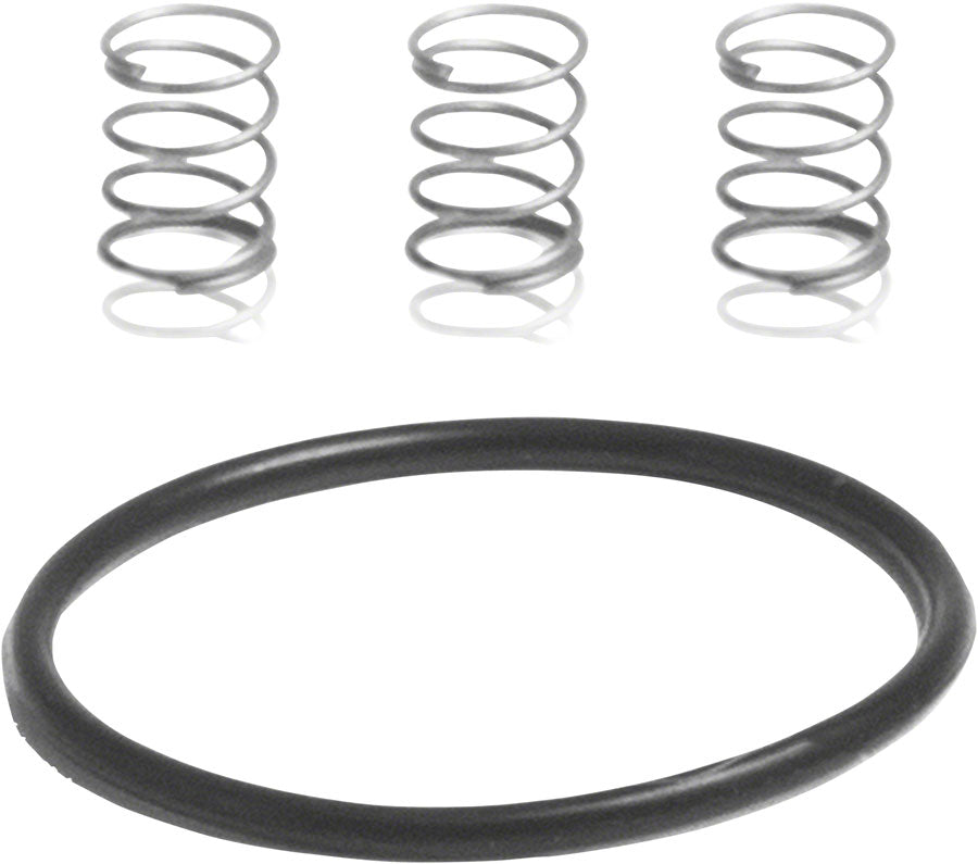 Industry Nine Pawl Spring Kit