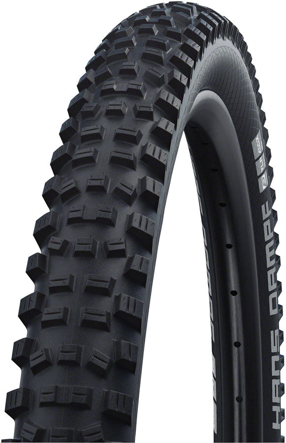 Schwalbe Hans Dampf Tire - Tubeless, Folding, Black, Evolution, Addix Soft, SnakeSkin