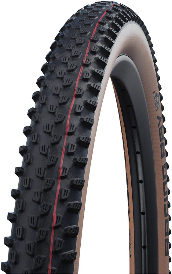 Schwalbe Racing Ray Tire - Tubeless, Folding, Black/Transparent, Evolution, Super Race, Addix Speed