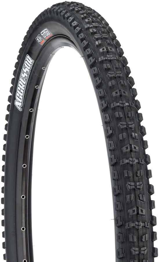 Aggressor Tire - Tubeless, Folding, Black, Dual