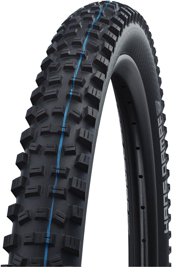 Schwalbe Hans Dampf Tire - Tubeless, Folding, Black, Evolution Line, Addix Soft, Super Trail