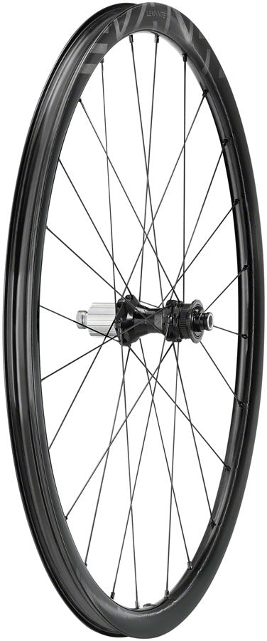 Campagnolo Levante Rear Wheel - 700, 12 x 142mm, CenterLock, N3W, Black