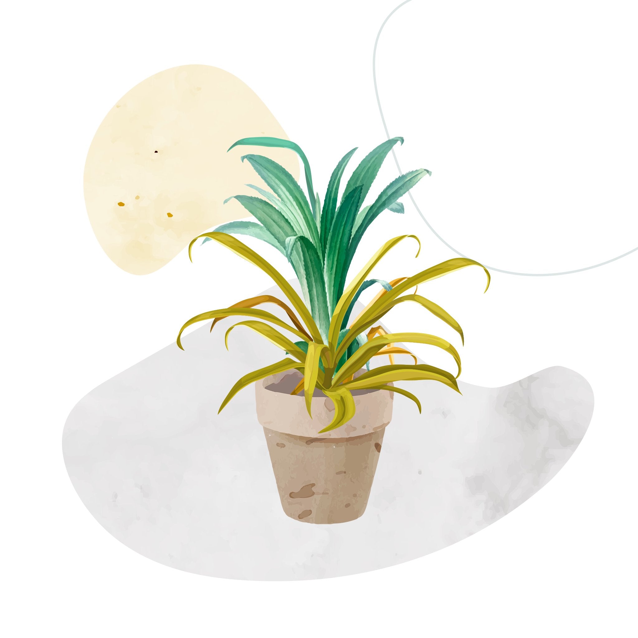 EASYPOT. Online store for best plants in the EU