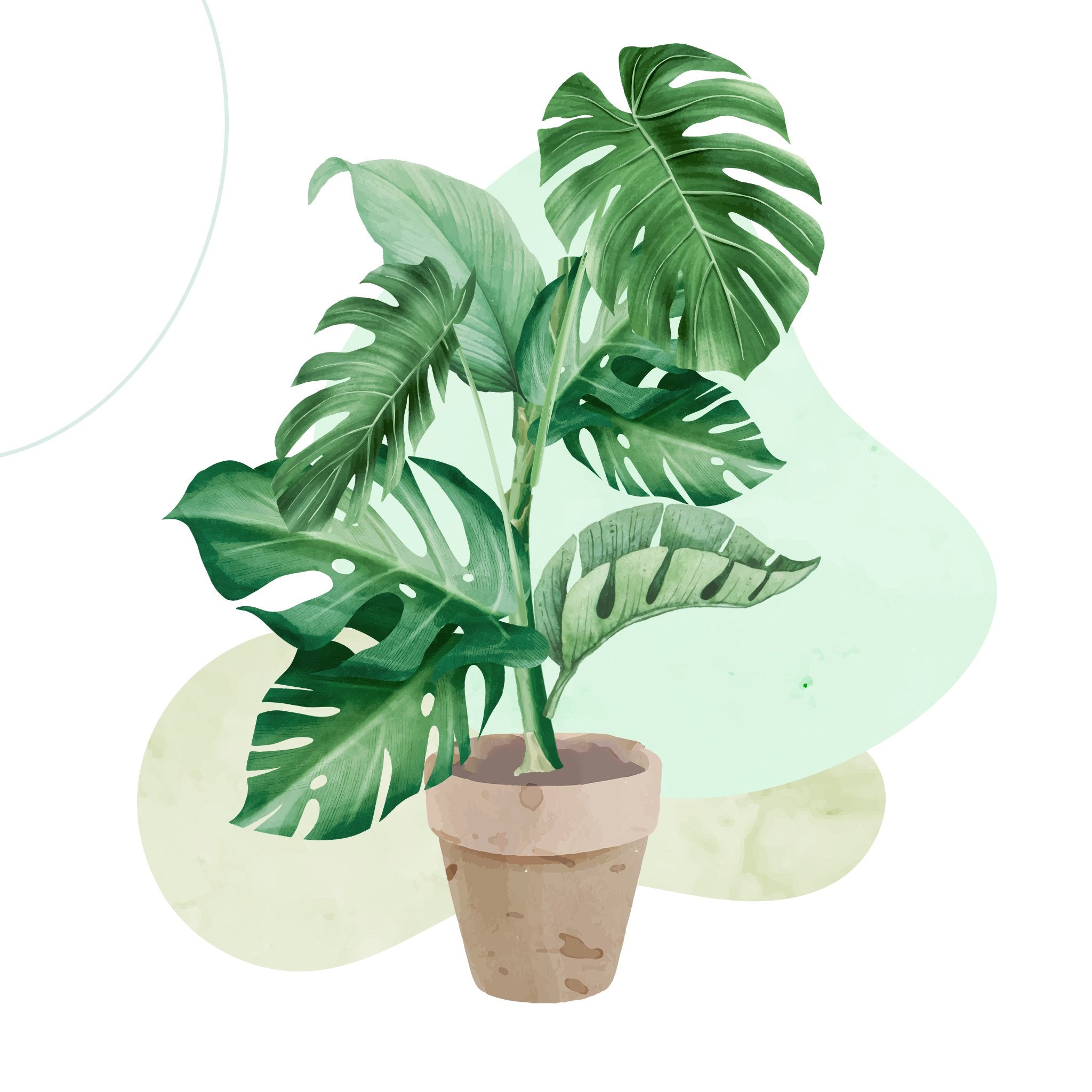 EASYPOT. Online store for best plants in the EU