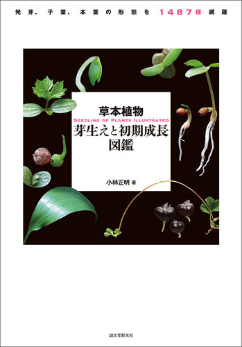 呉清源・王立誠 囲碁の真理を探る 第三巻 – 誠文堂の直売所