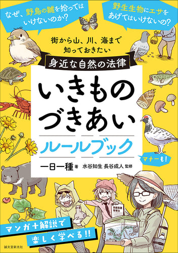 コイヌマユキの魔法の色えんぴつテクニック – 誠文堂の直売所