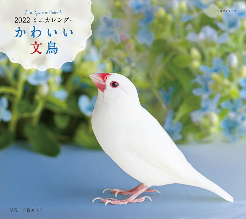 22年カレンダー かわいい文鳥 誠文堂の直売所