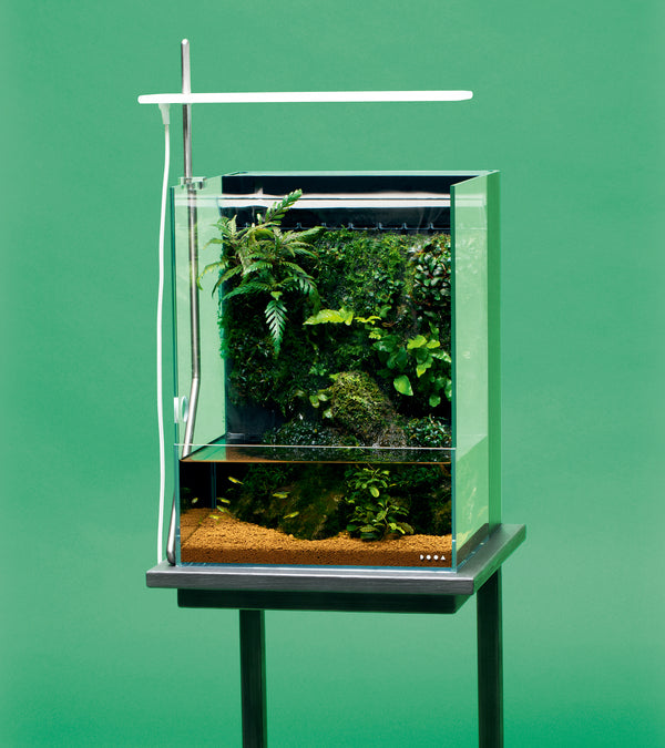 ADA Cube Cabinet Clear W60xD30 (W60xD30xH70cm)