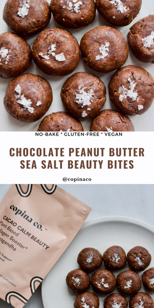 No bake chocolate sea salt bites 