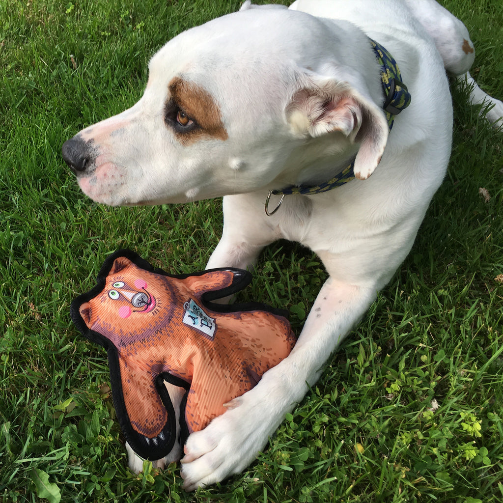 dog beds woodies