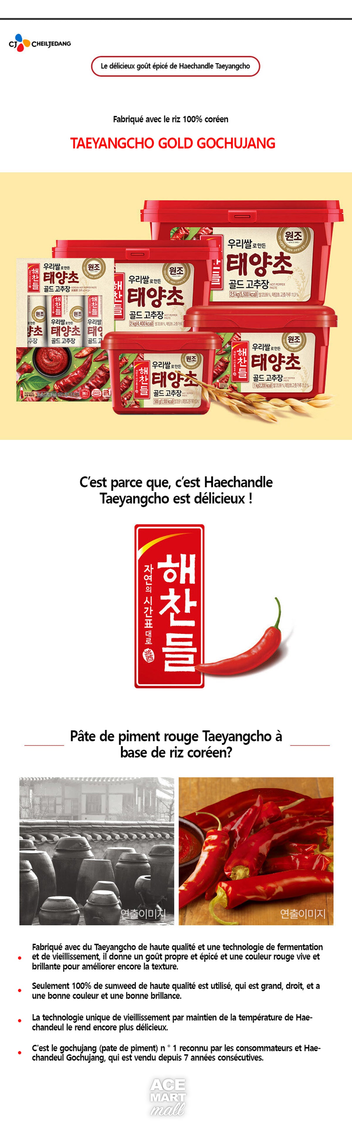 HAECHANDLE TAEYANGCHO GOLD PATE DE PIMENT 500G