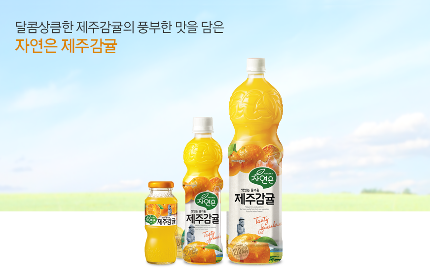 JEJU GAMGUL BOISSON DE CLEMENTINE 500ML