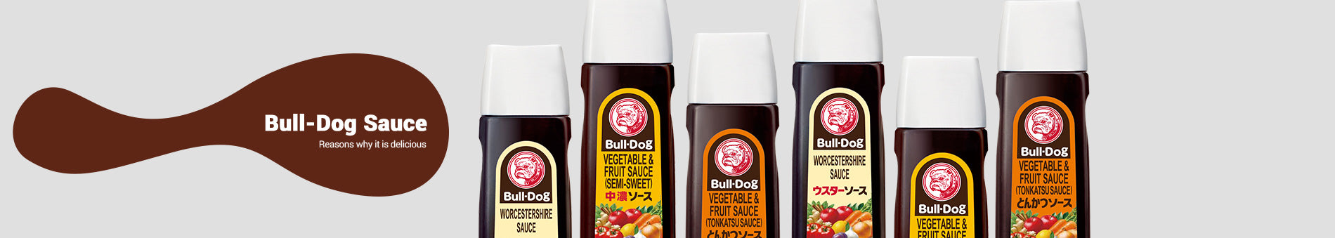 BULLDOG TONKATSU SAUCE 500ML