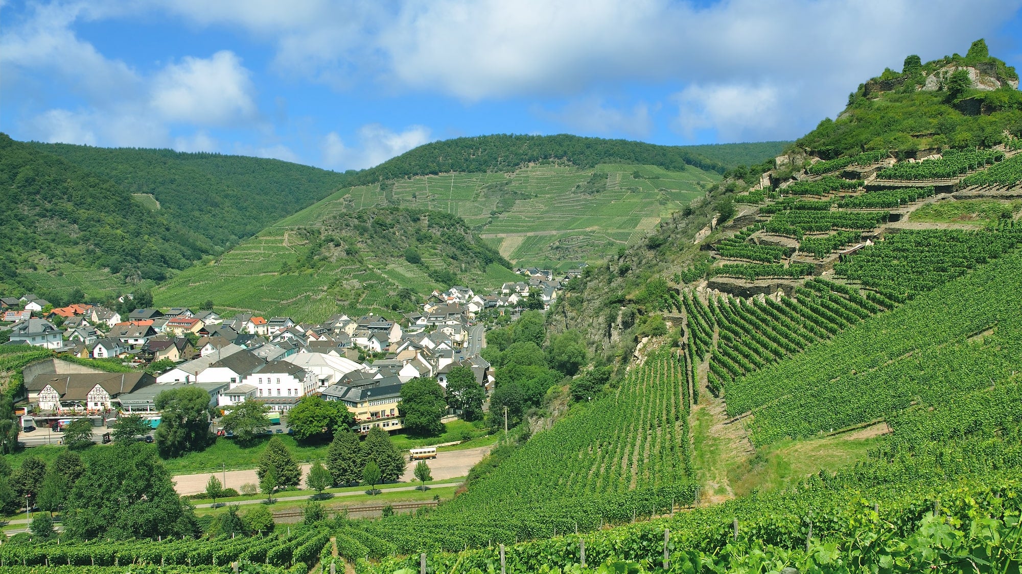 the mountainous Ahr Valley wine region, as featured in Single Thread Wines’ wine blog on New World vs Old World Pinot Noir
