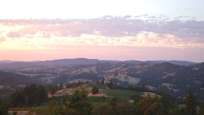 the estate surrounding Hirsch Vineyards, as featured in Single Thread Wines’ wine blog on New World vs Old World Pinot Noir