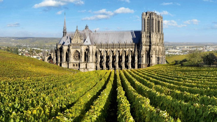 vineyards near Reims, France in the Champagne wine region, as featured in Single Thread Wines’ wine blog on New World vs Old World Pinot Noir