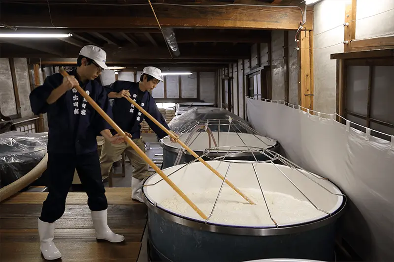 brewers making moromi at Dewazakura sake brewery, as featured in the SingleThread Wines blog on sake pairing, sake and unagi sauce