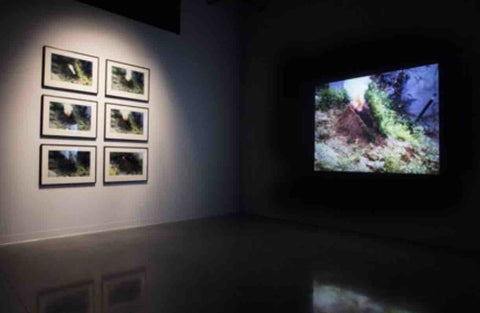 Ana Mendieta Silueta Series Land Artist