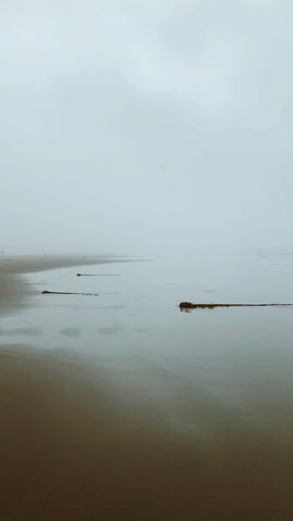 Foggy Coastline 