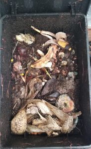 Home Compost