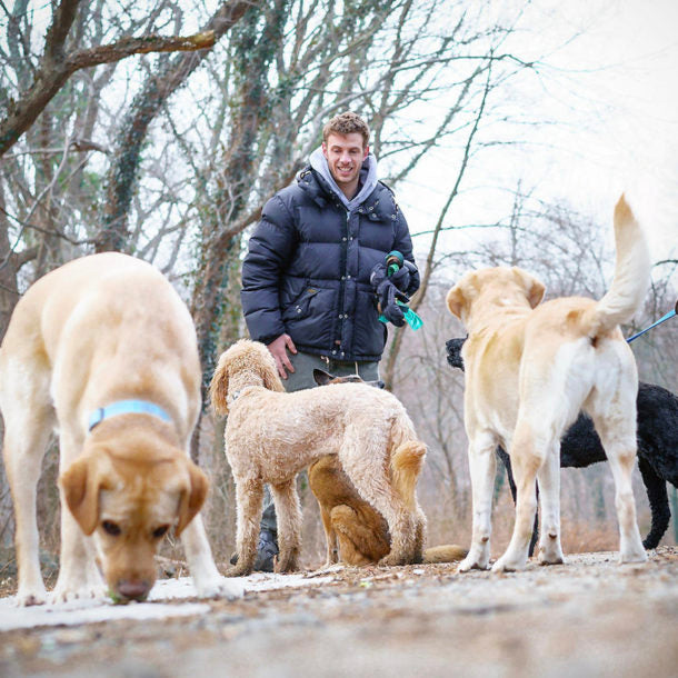 dave-dog-walking