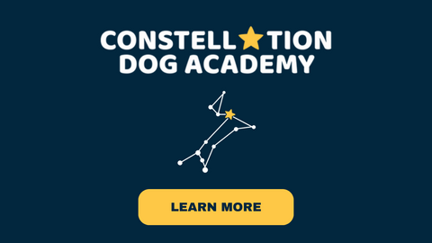 constellation-dog-academy