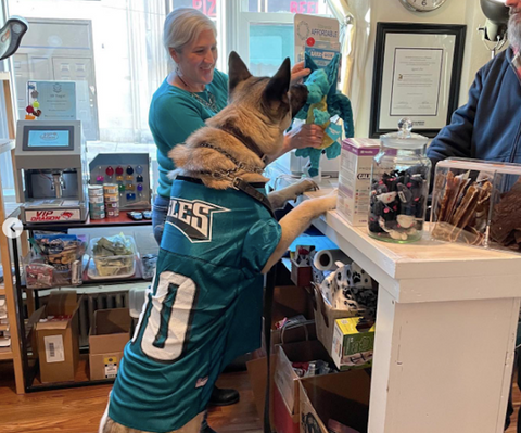 pet eagles gear