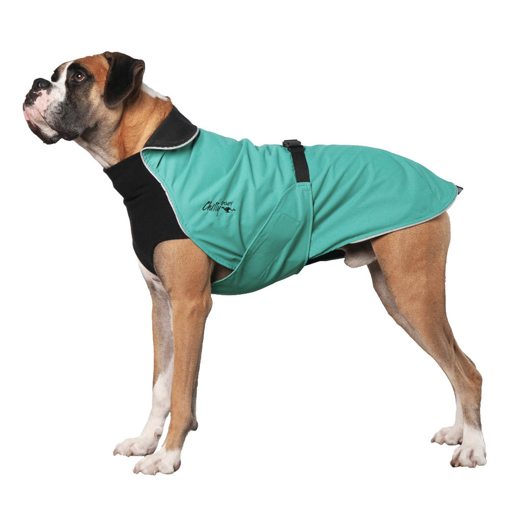 chilly dog raincoat