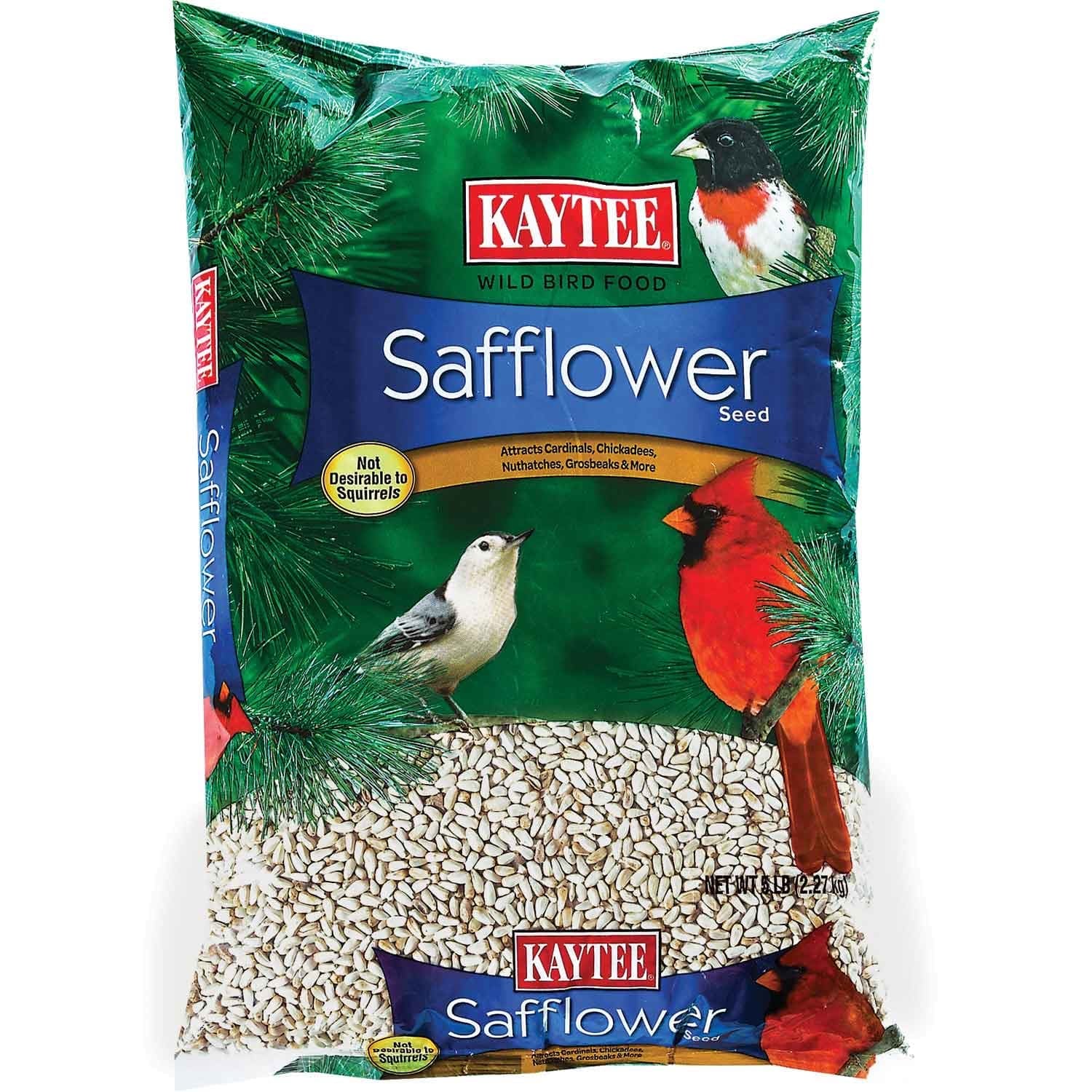 can dogs eat safflower seeds