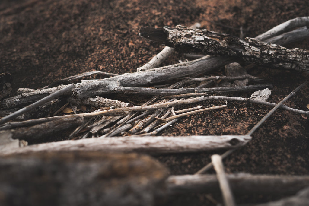 Holz für die Lagerfeuerstelle – Feuertonnen
