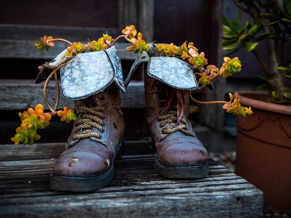 Bepflanzte Stiefel