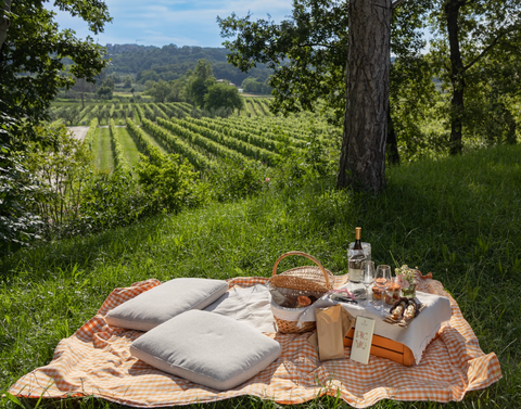 Pic Nic tra le vigne