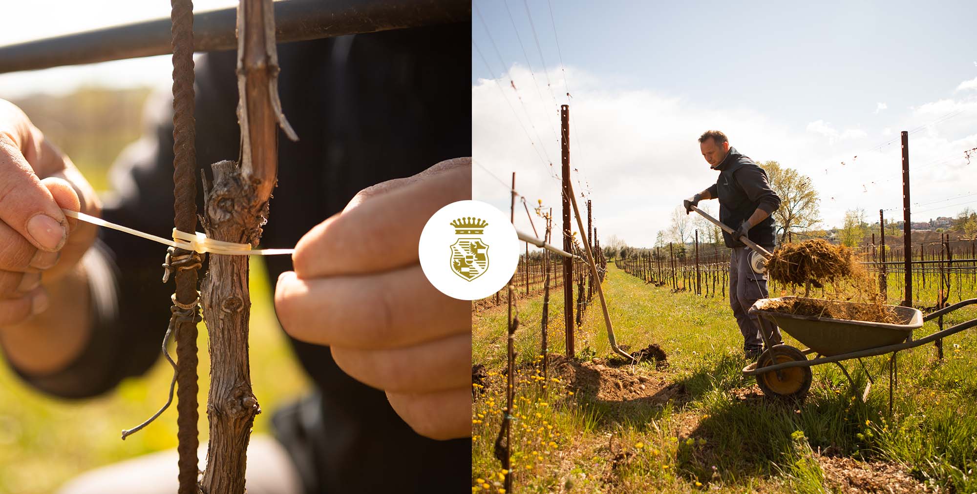 dettagli dei lavori in campagna