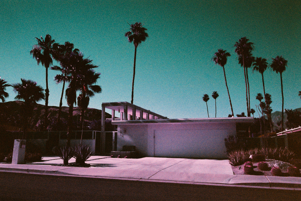 Pierre David, photographe, photography, analog, California, palm trees