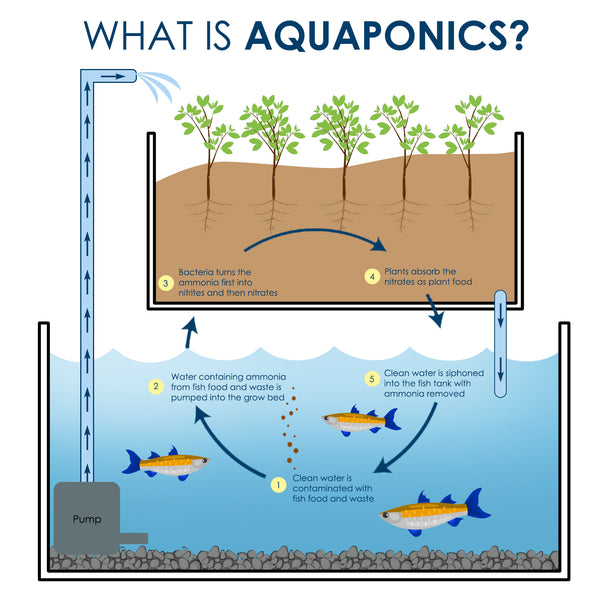 proaqua reverse osmosis aquaponics