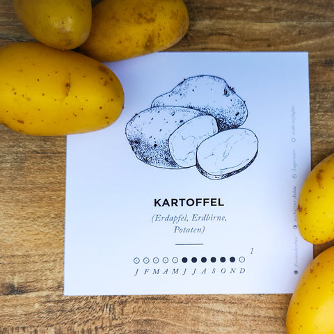 Kartoffel Saison