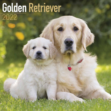 Calendars & Diaries — Guide Dogs Shop