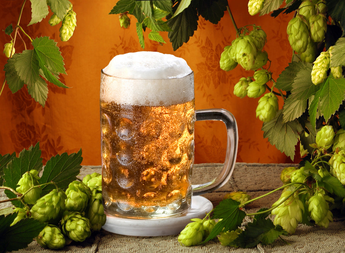 
    How to Enjoy the Taste of Beer in Just 3 Steps.
    
    
    
      – The Brand Decò
    
  