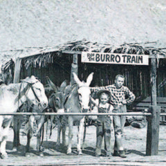burro trains