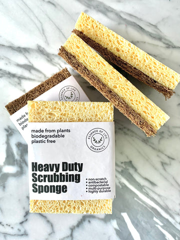 Kitchen Sponge – Coming Soon